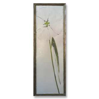 ‘White Tulip’ Gouache on Paper in Silver Gilt Frame with Gold inner slip (B889)